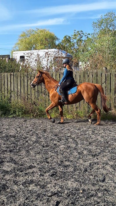 MPL BLACK All-in-One Black Riding Leggings