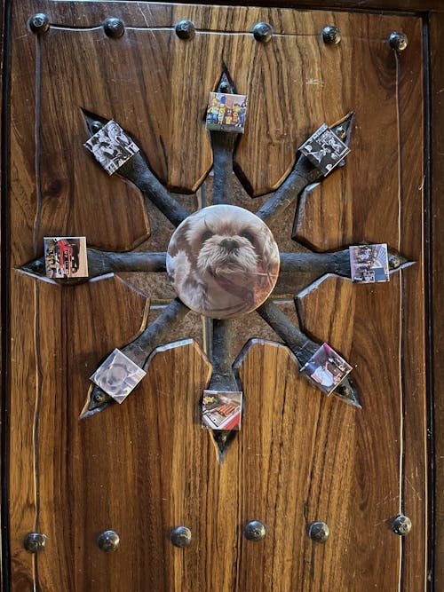 Magnet Machine Round 6"