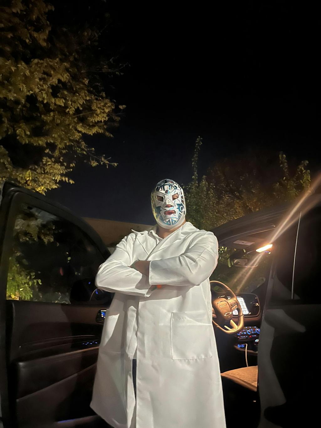 Wagner Pro Grade Mask