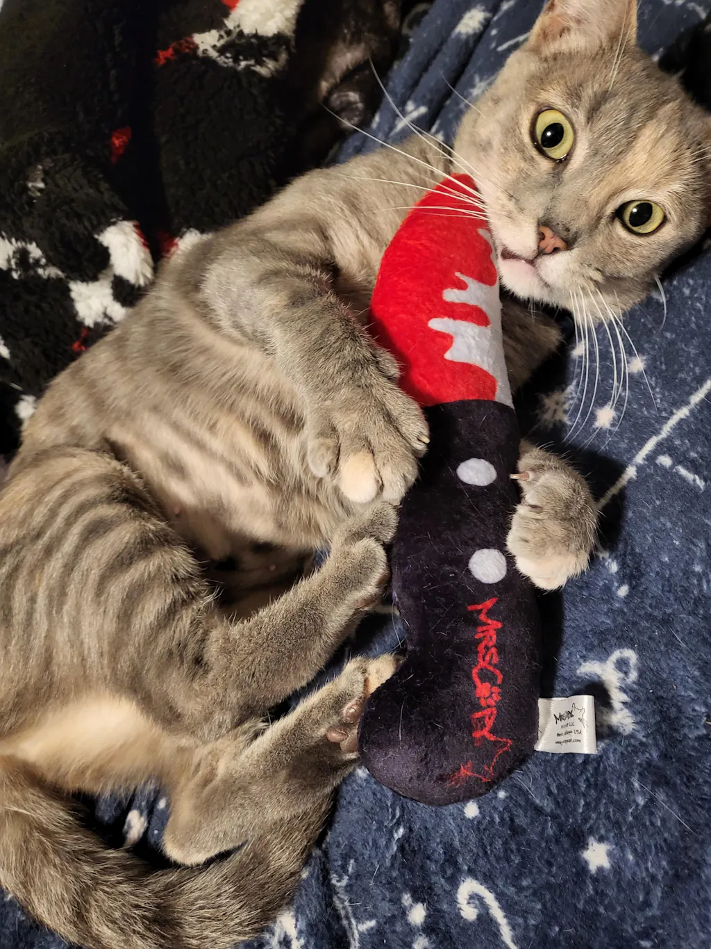 Bloody Knife® Refillable Catnip Toy