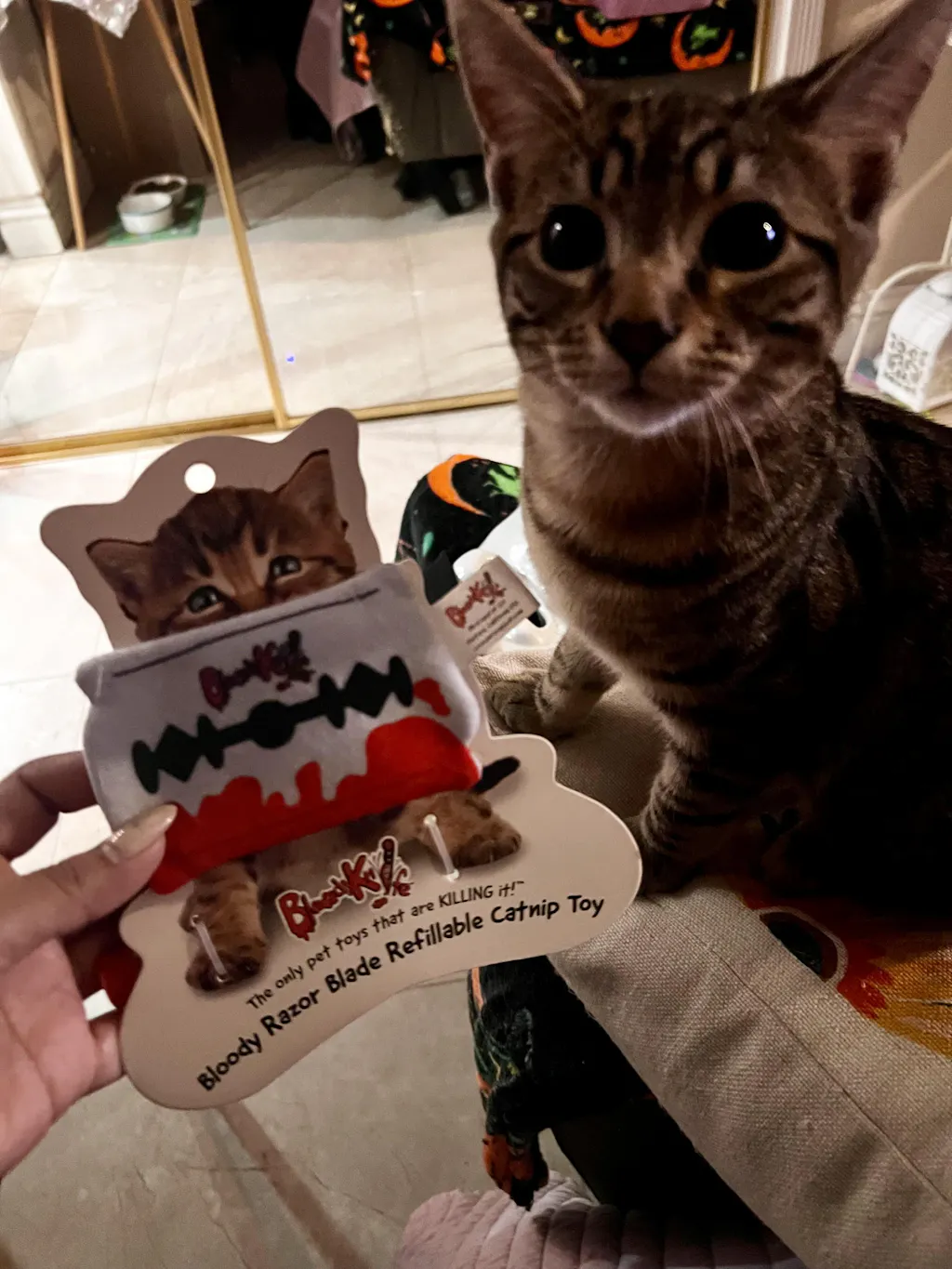 Bloody Razor Blade Refillable NO Stuffing Catnip Toy