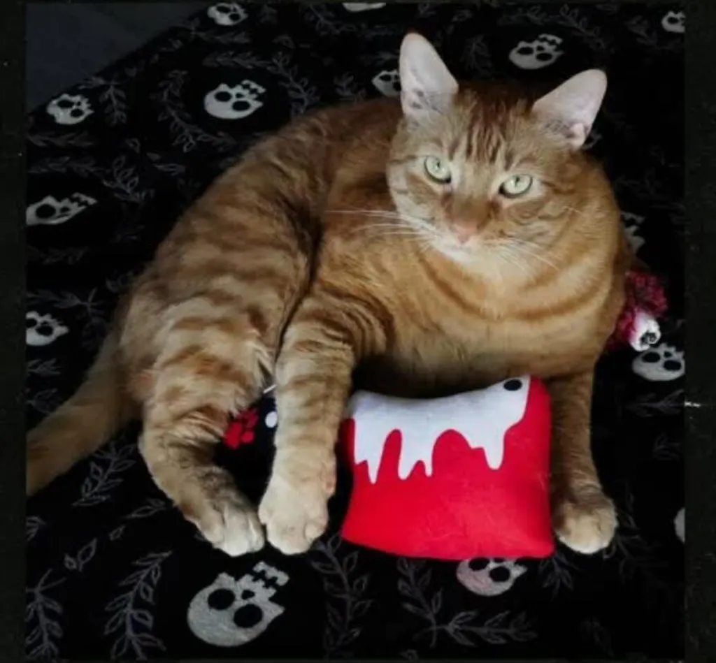 Bloody Cleaver Refillable Catnip Toy