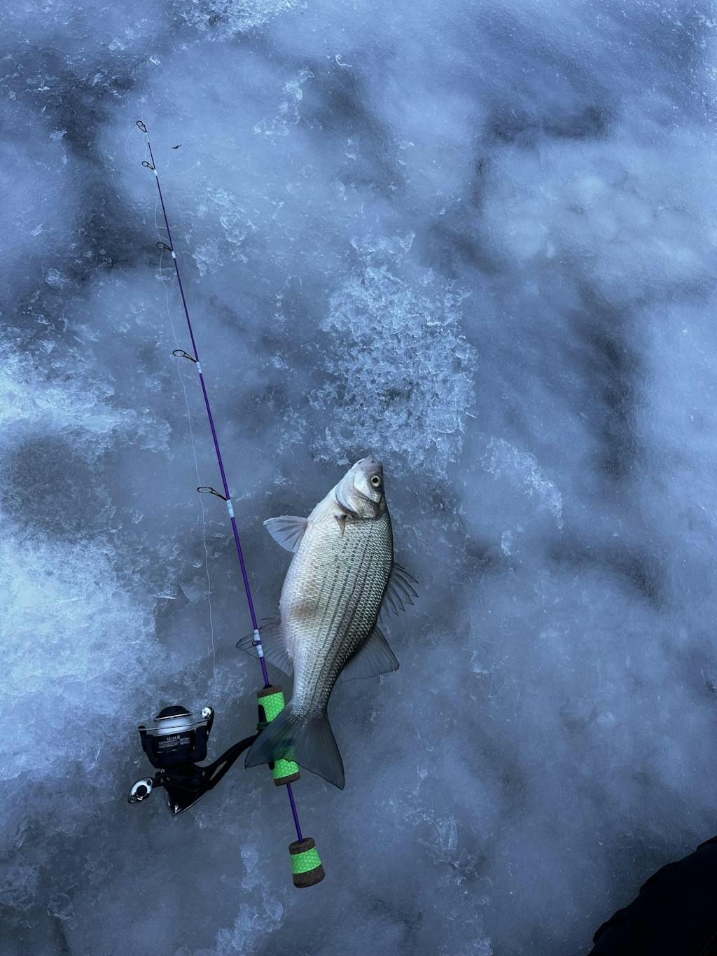 All In One Rod Building Kit Ice Fishing