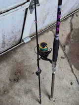 User picture