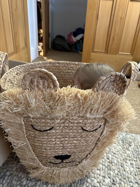 Large Lion Basket