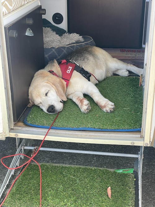 muk mat Portable Step Mat