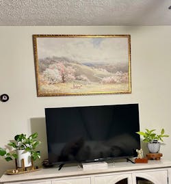 Blooming Spring Vintage Gold Framed Art | Spring Collection