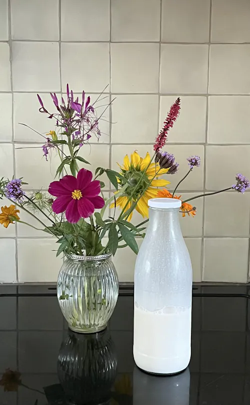 MULSI | Maak zelf plantaardige melk!
