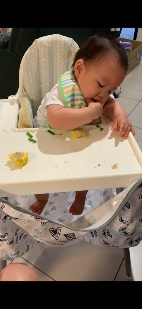 High Chair Food Catcher - Wildlife Tribe