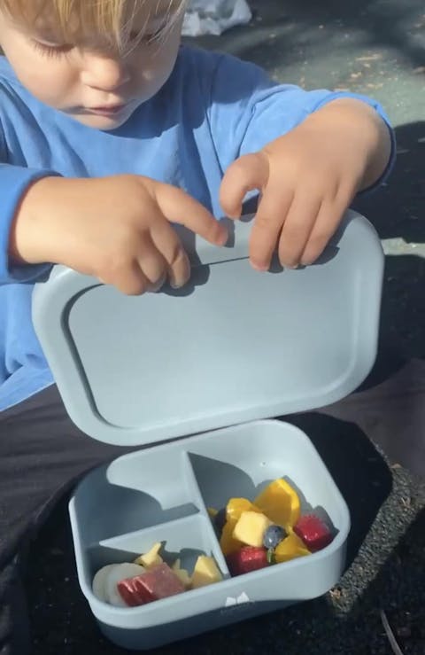 3 Section Silicone Bento Lunch Box - Pearl Blue