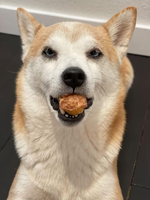 Chicken or Duck Jerky Wrapped Egg Yolk for Dogs