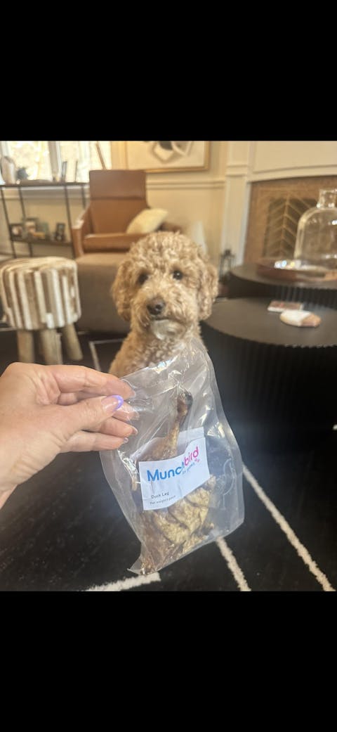 Air-Dried Duck Leg Dog Treat