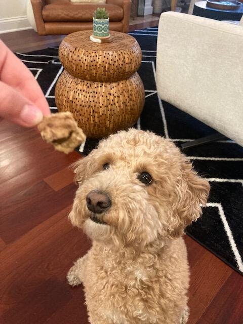 Dehydrated Beef Lung Dog Treats (Premium USA Angus) 4.5 Oz