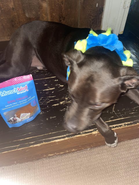 Chicken Chips for Dogs