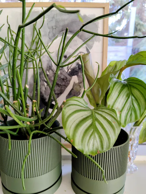 Duo grøn Ø13cm