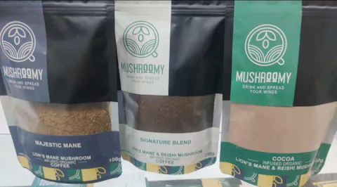 MAJESTIC MANE - Lion's Mane Mushroom Coffee