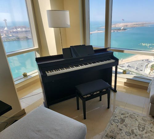 Casio AP-470 Celviano 88-Key Digital Piano (Adapter Included)