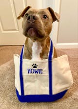 Personalized Boat Tote | Boat Tote Bag | School Tote Bag | Embroidered Tote Bag | Beach Boat Tote | Name Tote Bag