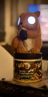 Crunchy Campfire Treat