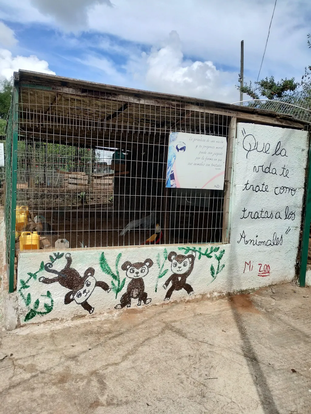 5 Pares de Medias de Invierno estilo Patitas de Gato