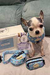 Arnés Ajustable Sweet Unicorns