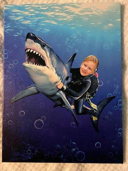 The Shark Rider – My Kid's Dream