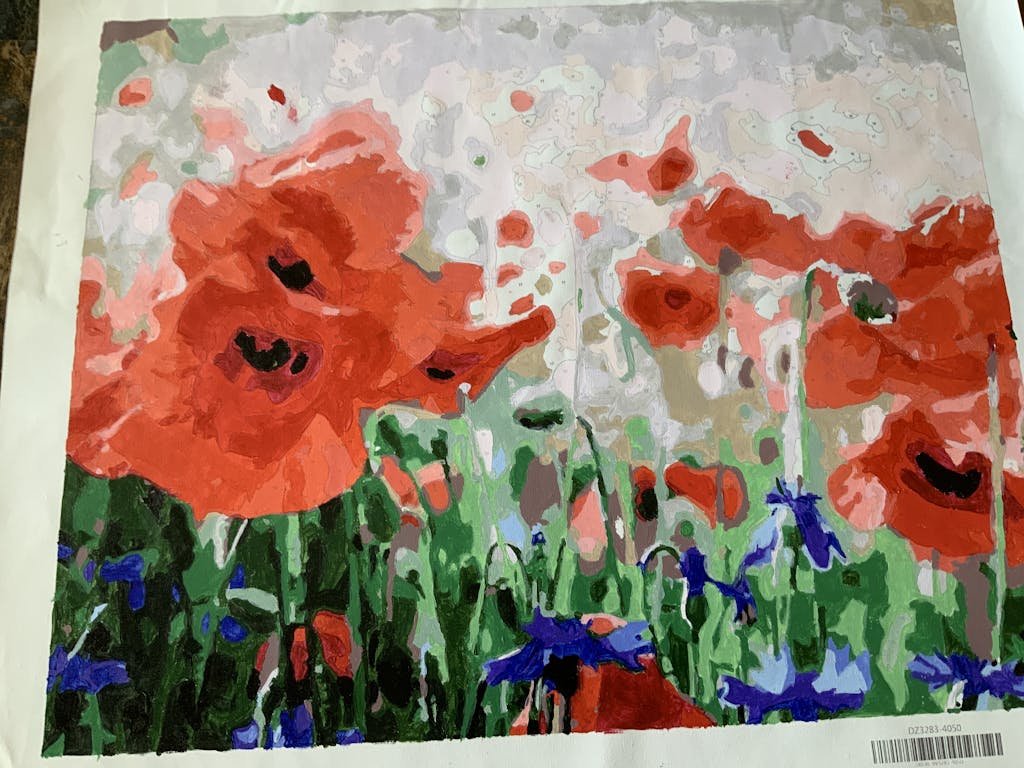 Red Poppies and Blue Cornflowers | My Paint by Numbers