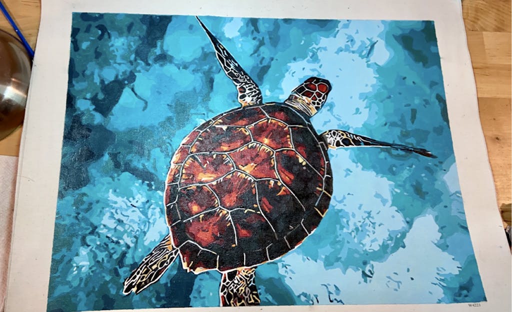 *FREE* Sea Turtle | My Paint by Numbers