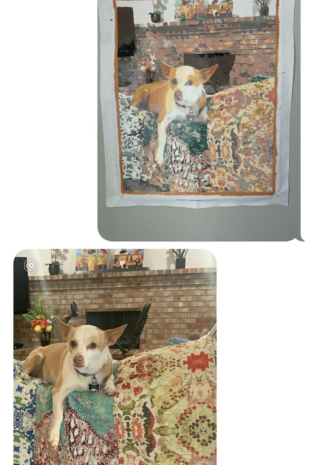 Custom Paint by Number Kit My Paint by Numbers