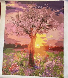 Review picture Review picture