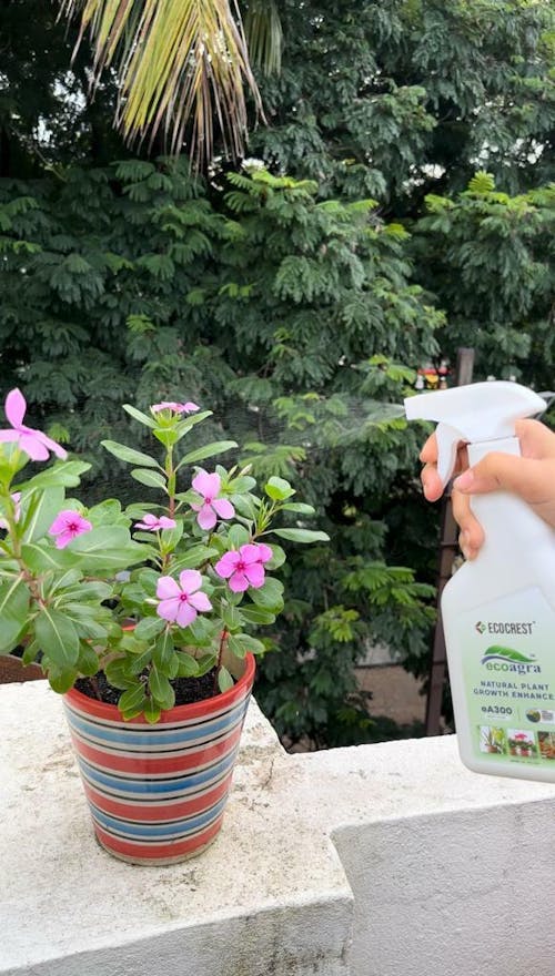 Ecoagra Plant Based Natural Growth Enhancer - 450ml