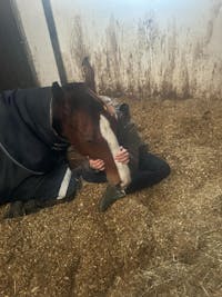 Fysisk telepati session ✨