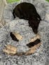 The Original Haven™ Calming Dog Bed - 40% OFF AND FREE SHIPPING