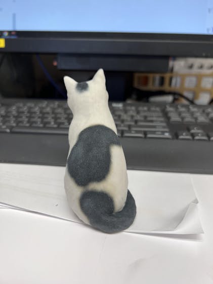 CUSTOMIZED CAT FIGURINES FROM PHOTO