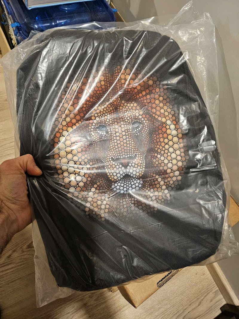 Ben Heine Lion Chain Backpack Large Travel Laptop Backpack, School Backpack Book Bag Gifts for Men Women