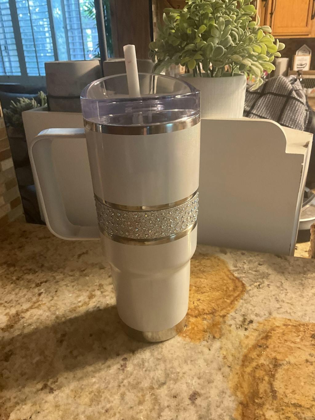 Hollywood Hydration Mug - 32 oz.