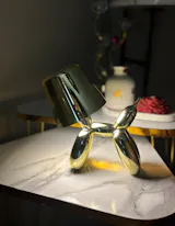 Metal Baloon Art LED Night Lamp – Ambient Light for Living Room & Bedroom