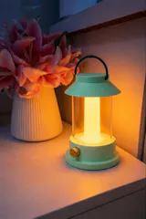 Portable Indoor/Outdoor Emergency Light