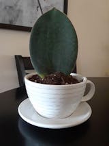 Photo de l'utilisateur