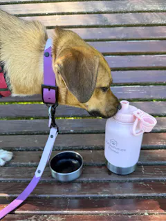 Review picture