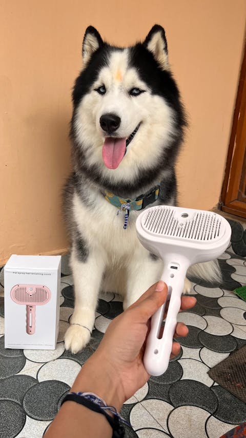 Pet Grooming Brush