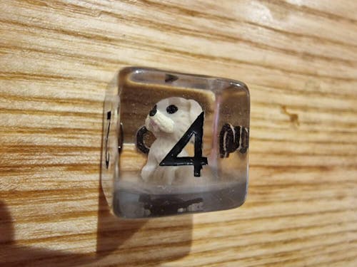 Filled/Inclusion Mystery Dice