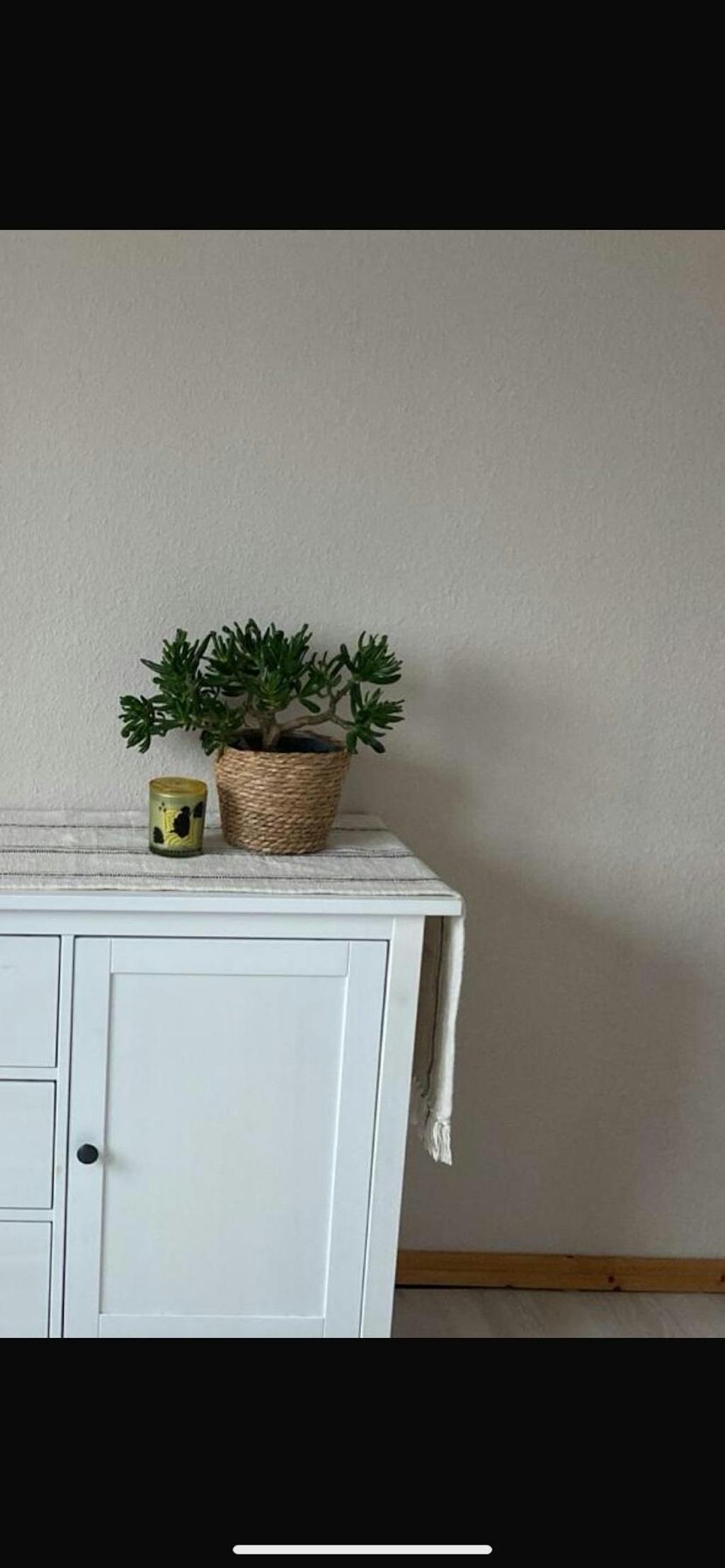 Innenfarbe, Wandfarbe, Farbwahl, Profi-Qualität - MATT