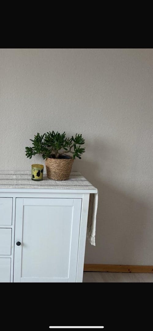 Innenfarbe, Wandfarbe, Farbwahl, Profi-Qualität - MATT