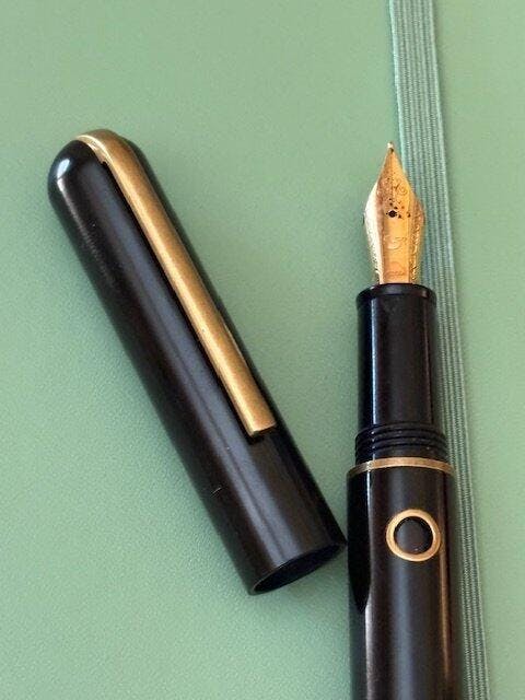 Nahvalur Nautilus Stylophora Berry Ebonite Fountain Pen