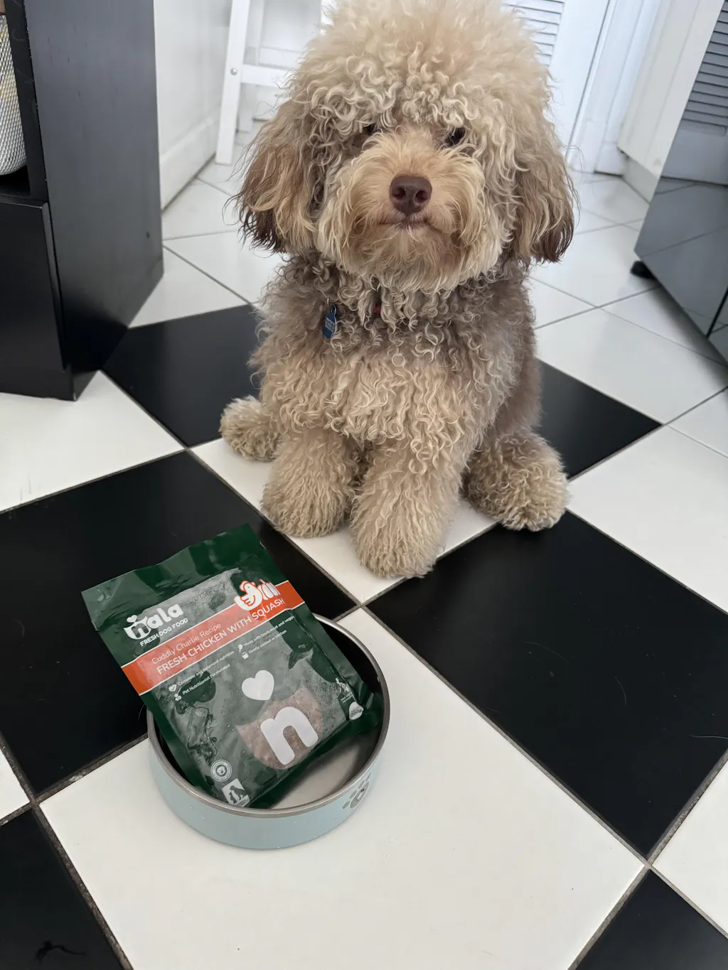 CUDDLY CHARLIE RECIPE