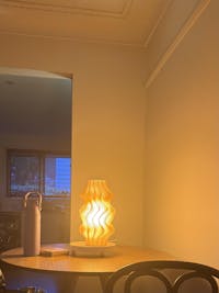 Iris Lamp – Peach (Last Edition Deal)