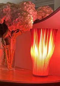 Coral Lamp