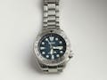 SRP Turtle Steel Bezel Insert: Dual Time