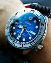 SKX007/SRPD Chapter Ring: Matte Black Finish with Blue Markers